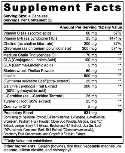 Fat Burner with MCT, 90 Capsules